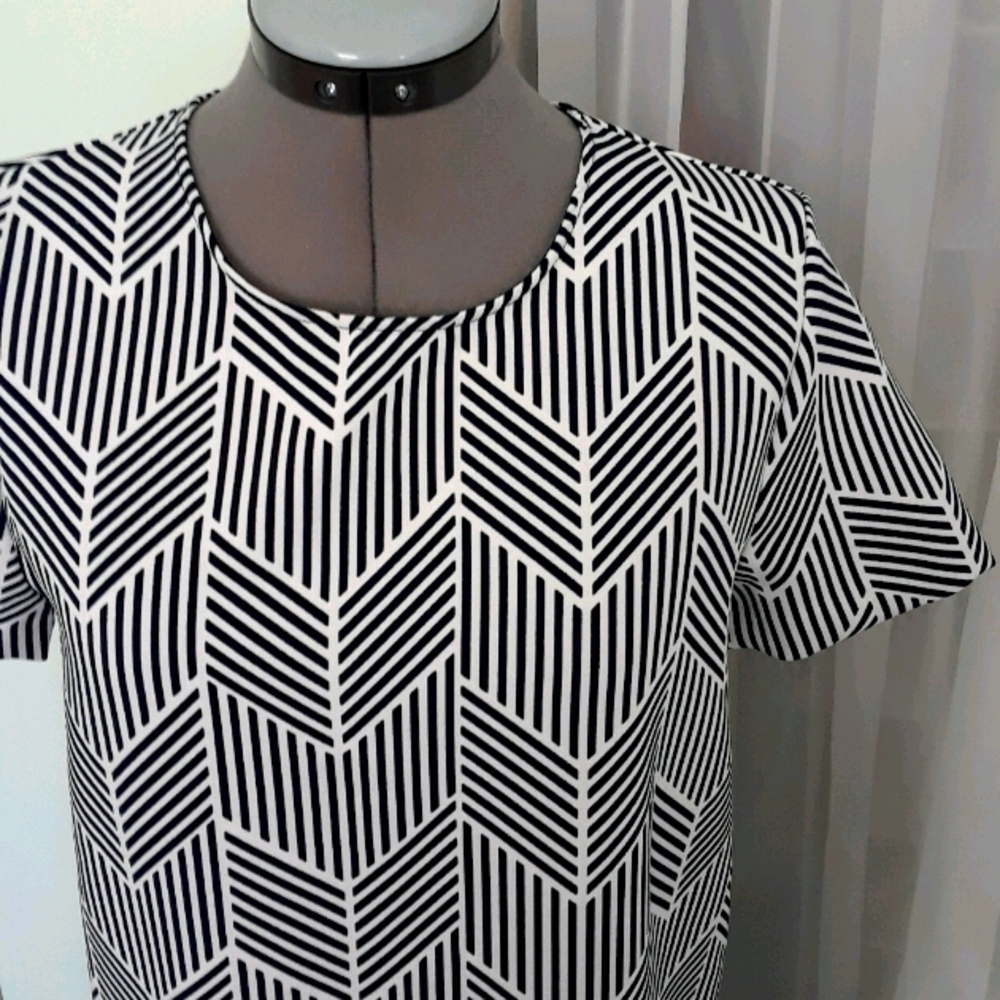 Zara dress